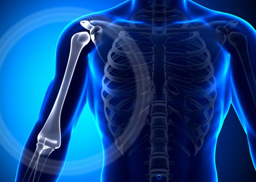 симптомы перелома плечевой кости